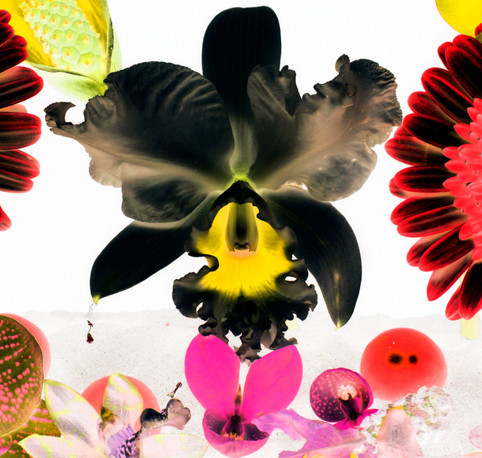 Marc Quinn In The Night Garden